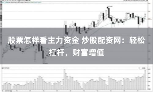 股票怎样看主力资金 炒股配资网：轻松杠杆，财富增值
