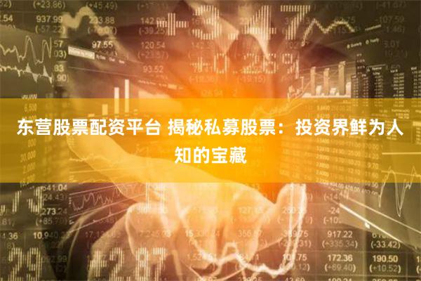 东营股票配资平台 揭秘私募股票：投资界鲜为人知的宝藏