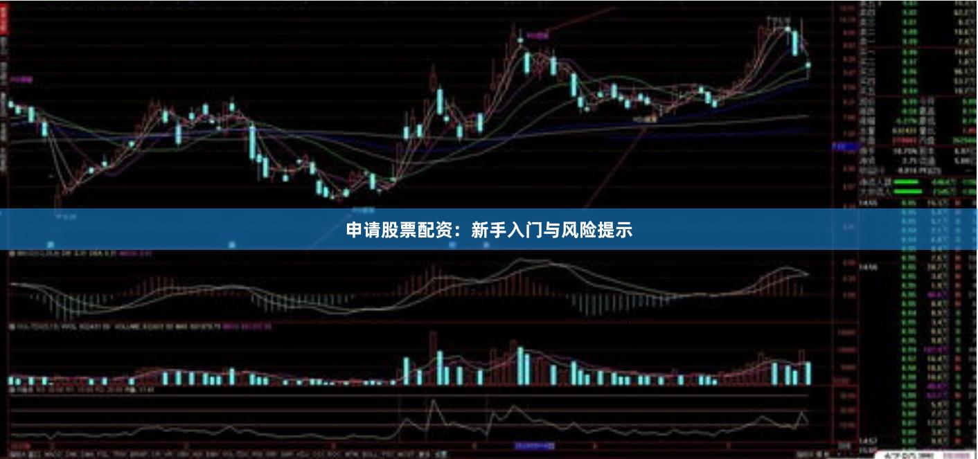 申请股票配资:新手入门与风险提示